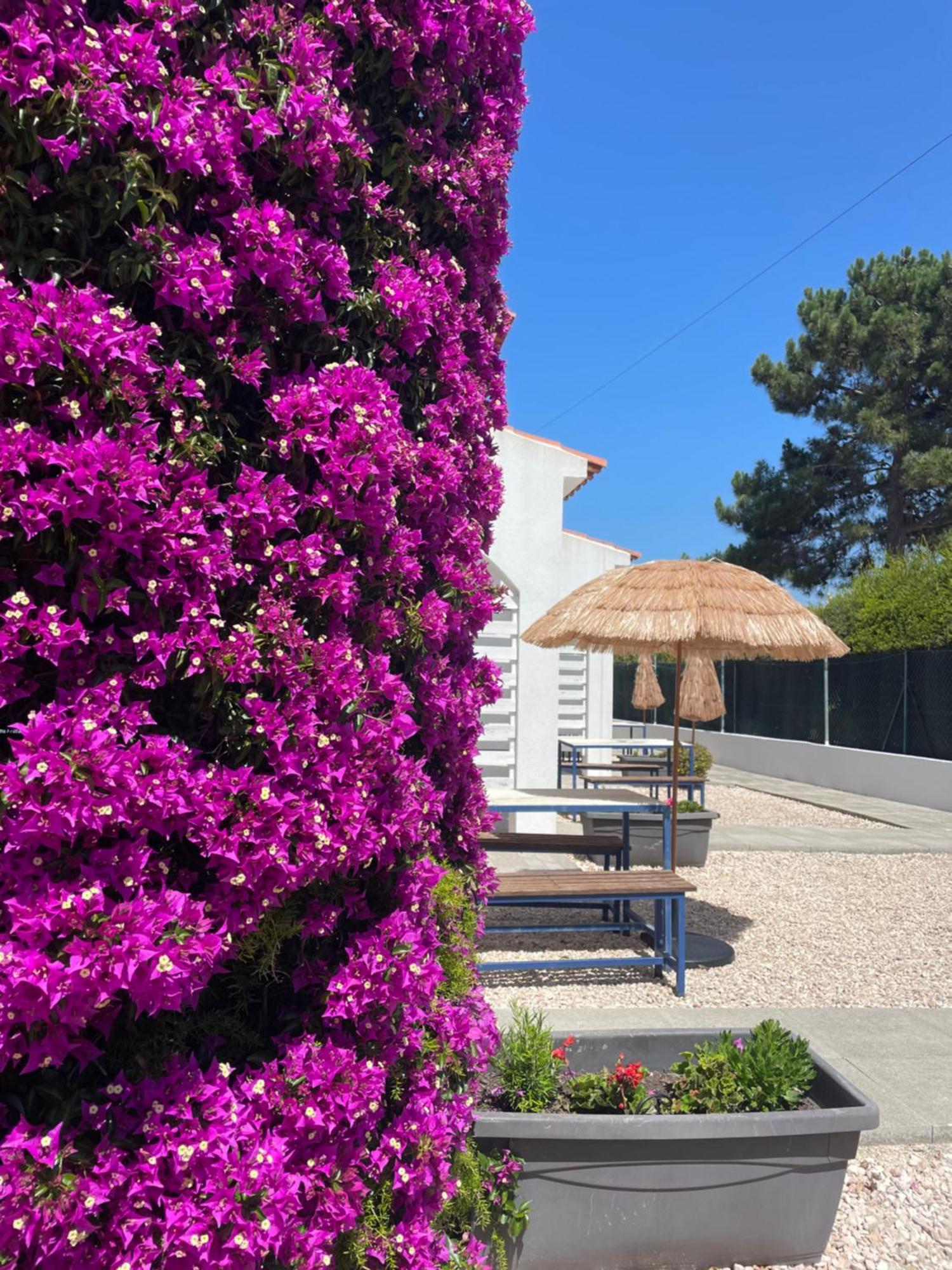 אלג'זור California Dream Inn מראה חיצוני תמונה